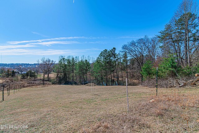 541 Dante Rd, Knoxville, TN 37918 - photo 7