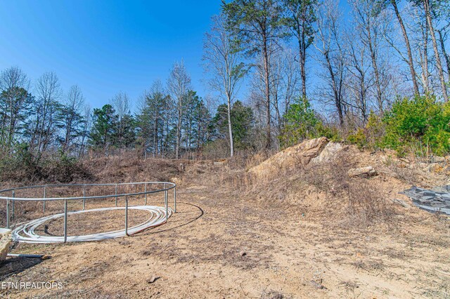 541 Dante Rd, Knoxville, TN 37918 - photo 8