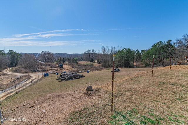 541 Dante Rd, Knoxville, TN 37918 - photo 9