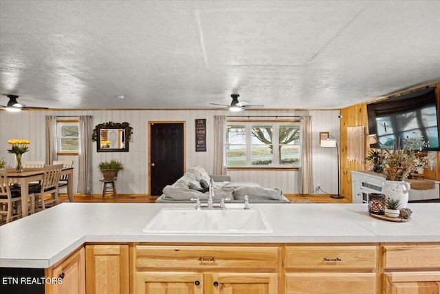 kitchen featuring ceiling fan, light countertops, a sink, and a healthy amount of sunlight