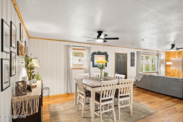 dining space with light wood-style flooring, a textured ceiling, ceiling fan, and crown molding