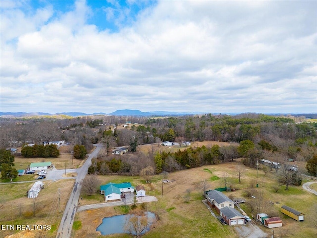 aerial view with a mountain view and a rural view