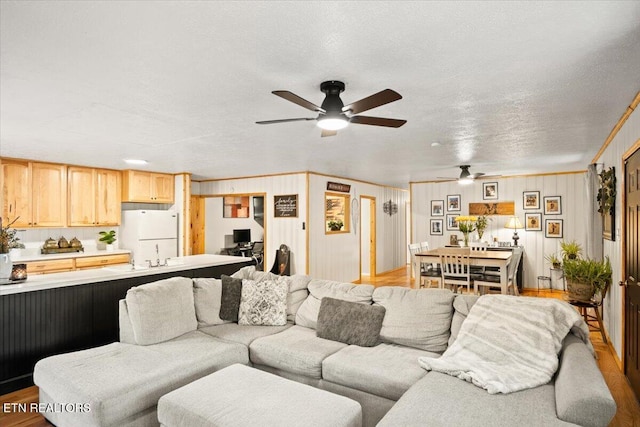 living room with a textured ceiling and wood finished floors