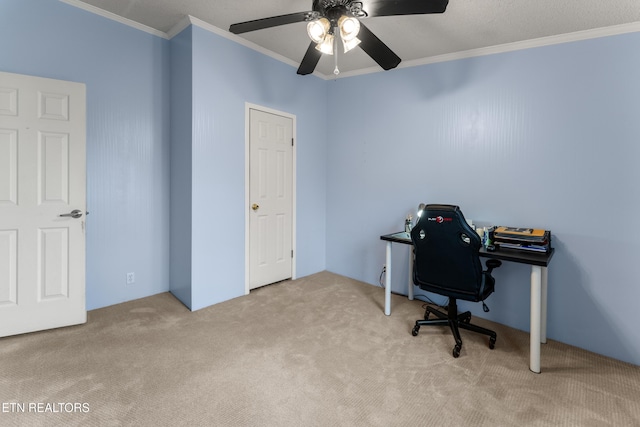 office featuring carpet flooring, a ceiling fan, and crown molding