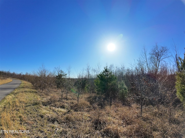 Listing photo 2 for 0 Grassy Knob Rd, Robbins TN 37852