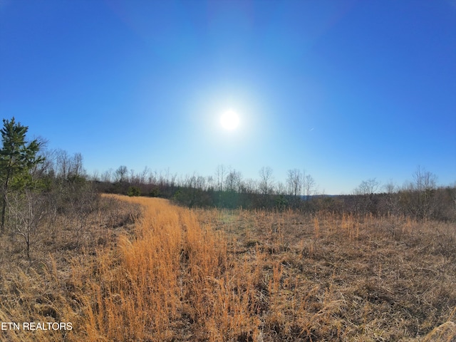 0 Grassy Knob Rd, Robbins TN, 37852 land for sale