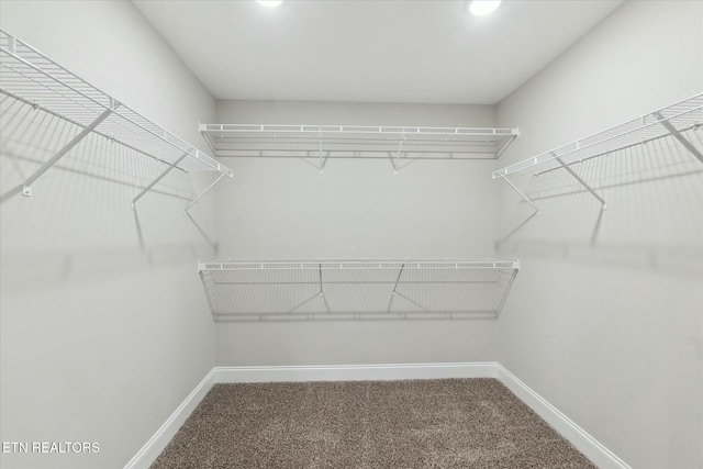 spacious closet with carpet flooring