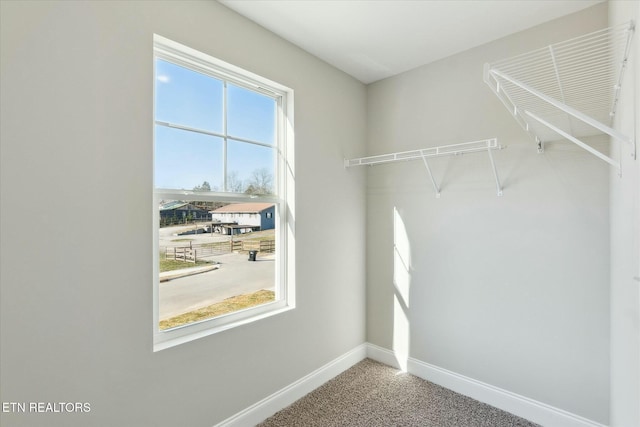 spacious closet featuring carpet