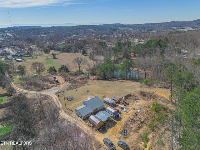 birds eye view of property with a mountain view