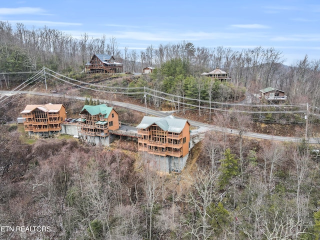 1173 Ski View Dr, Gatlinburg, TN 37738 - photo 34