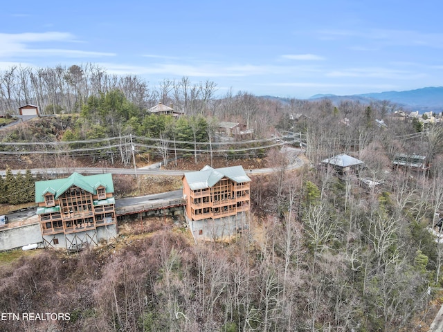 1173 Ski View Dr, Gatlinburg, TN 37738 - photo 35