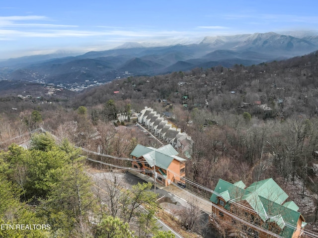 1173 Ski View Dr, Gatlinburg, TN 37738 - photo 36