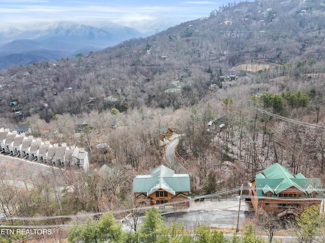 1173 Ski View Dr, Gatlinburg, TN 37738 - photo 37