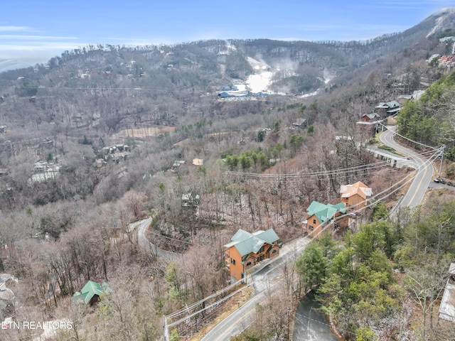1173 Ski View Dr, Gatlinburg, TN 37738 - photo 38