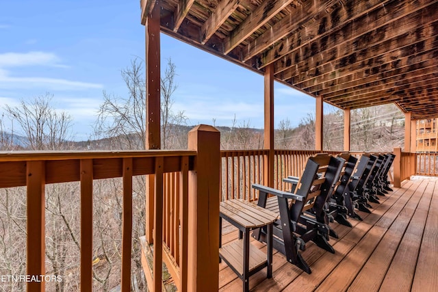 1173 Ski View Dr, Gatlinburg, TN 37738 - photo 30
