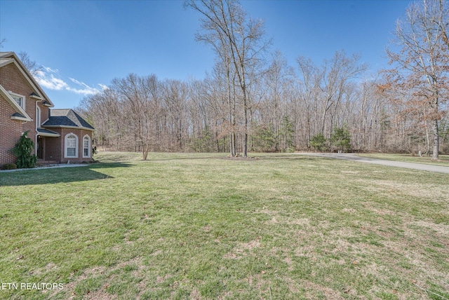 view of yard featuring a view of trees