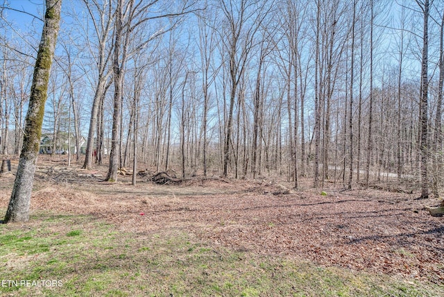 view of local wilderness