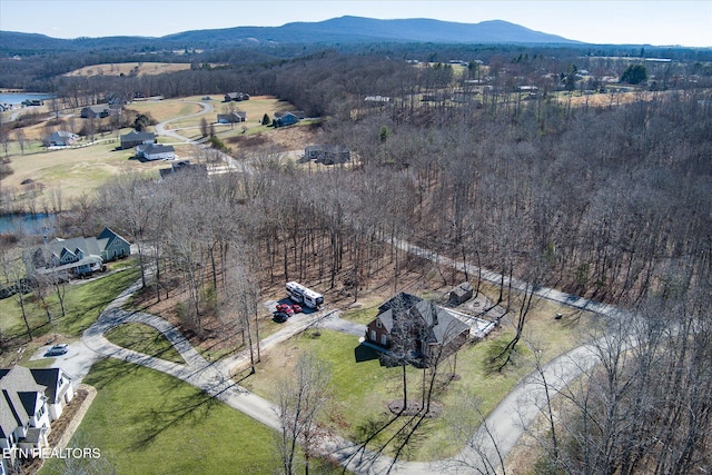 drone / aerial view featuring a mountain view