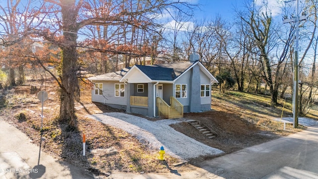 view of front of home featuring roof with shingles and driveway