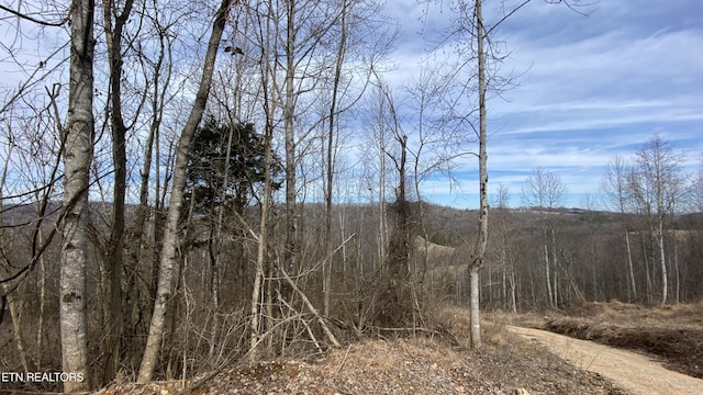 Owl Hole Gap Rd, Rutledge TN, 37861 land for sale