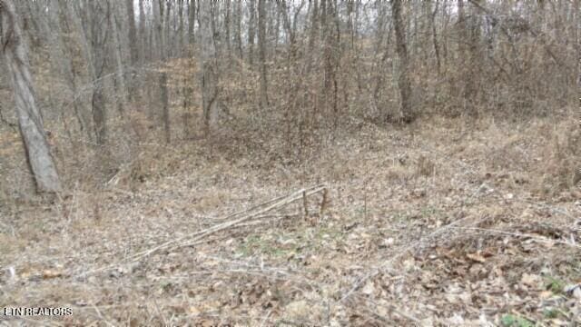 TRACT24 Beaver Ln, Gainesboro TN, 38562 land for sale