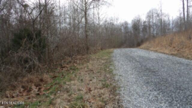 TRACT24 Beaver Ln, Gainesboro, TN 38562
