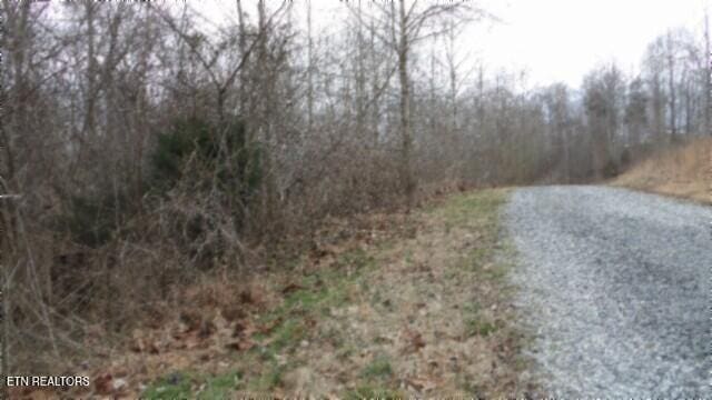 TRACT24 Beaver Ln, Gainesboro, TN 38562