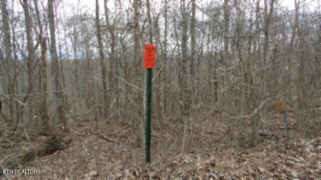 TRACT24 Beaver Ln, Gainesboro, TN 38562