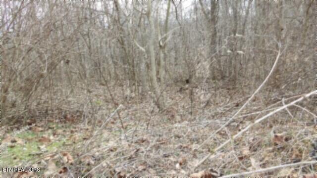 TRACT24 Beaver Ln, Gainesboro, TN 38562