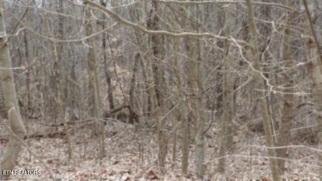 TRACT24 Beaver Ln, Gainesboro, TN 38562