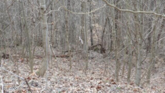 TRACT24 Beaver Ln, Gainesboro, TN 38562