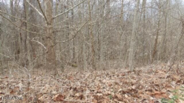 TRACT24 Beaver Ln, Gainesboro, TN 38562