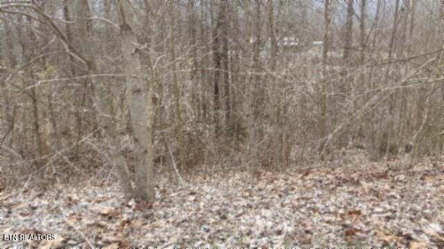 TRACT24 Beaver Ln, Gainesboro, TN 38562