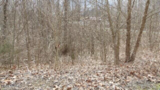 TRACT24 Beaver Ln, Gainesboro, TN 38562