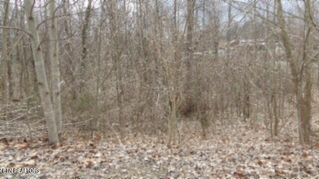 TRACT24 Beaver Ln, Gainesboro, TN 38562