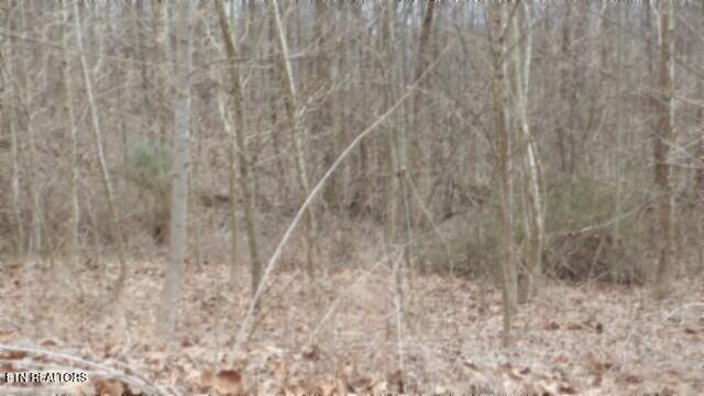 TRACT24 Beaver Ln, Gainesboro, TN 38562