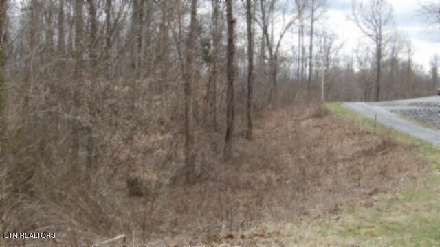 TRACT24 Beaver Ln, Gainesboro, TN 38562