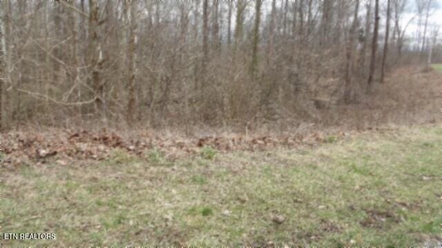 TRACT24 Beaver Ln, Gainesboro, TN 38562