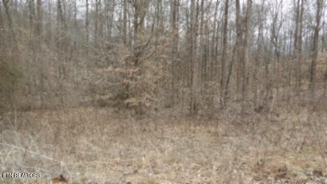TRACT24 Beaver Ln, Gainesboro, TN 38562