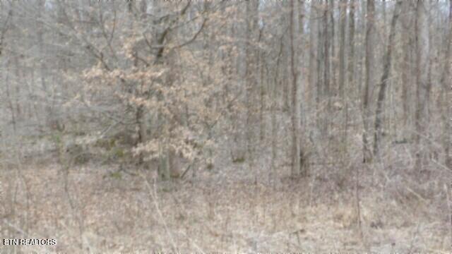 TRACT24 Beaver Ln, Gainesboro, TN 38562