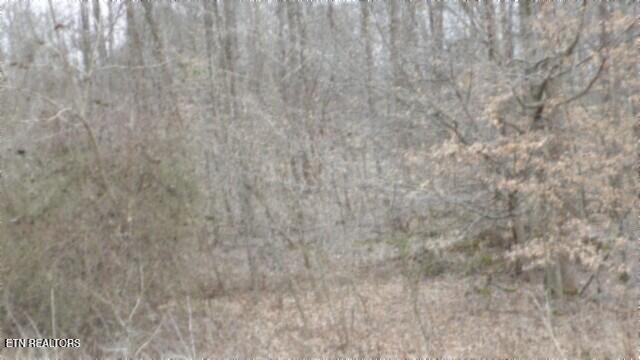 TRACT24 Beaver Ln, Gainesboro, TN 38562