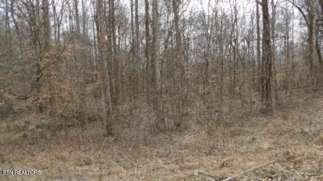 TRACT24 Beaver Ln, Gainesboro, TN 38562