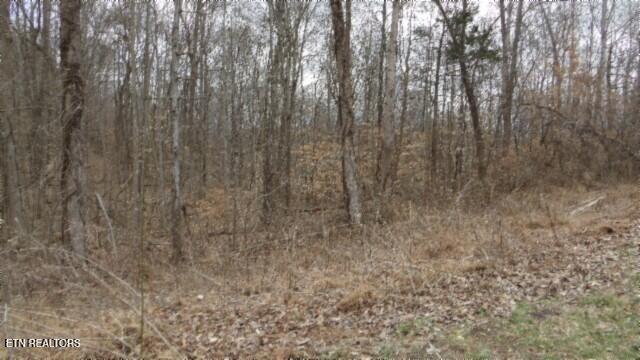 TRACT24 Beaver Ln, Gainesboro, TN 38562