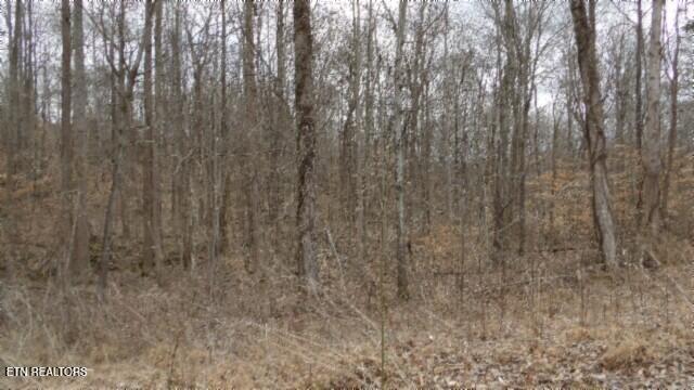 TRACT24 Beaver Ln, Gainesboro, TN 38562