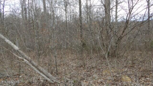 TRACT24 Beaver Ln, Gainesboro, TN 38562