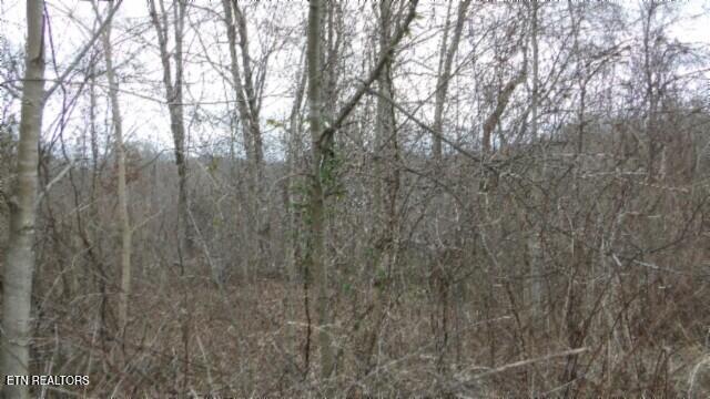TRACT24 Beaver Ln, Gainesboro, TN 38562