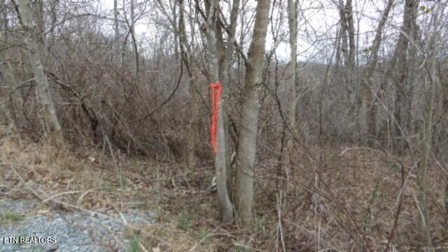 TRACT24 Beaver Ln, Gainesboro, TN 38562