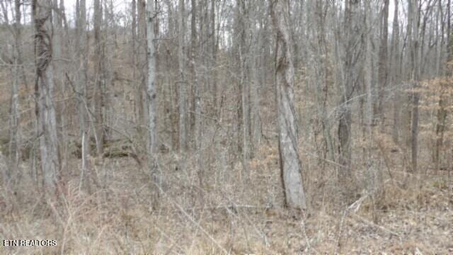 TRACT24 Beaver Ln, Gainesboro, TN 38562