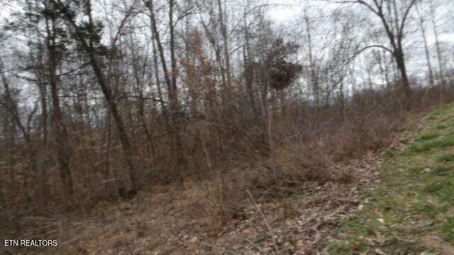 TRACT24 Beaver Ln, Gainesboro, TN 38562