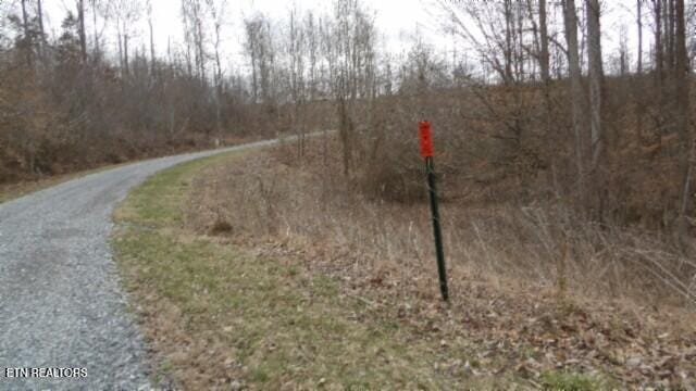 TRACT24 Beaver Ln, Gainesboro, TN 38562